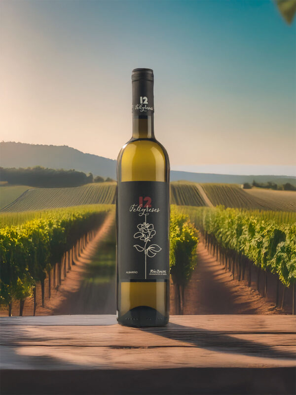 12 Feligreses Albariño - Imagen 3